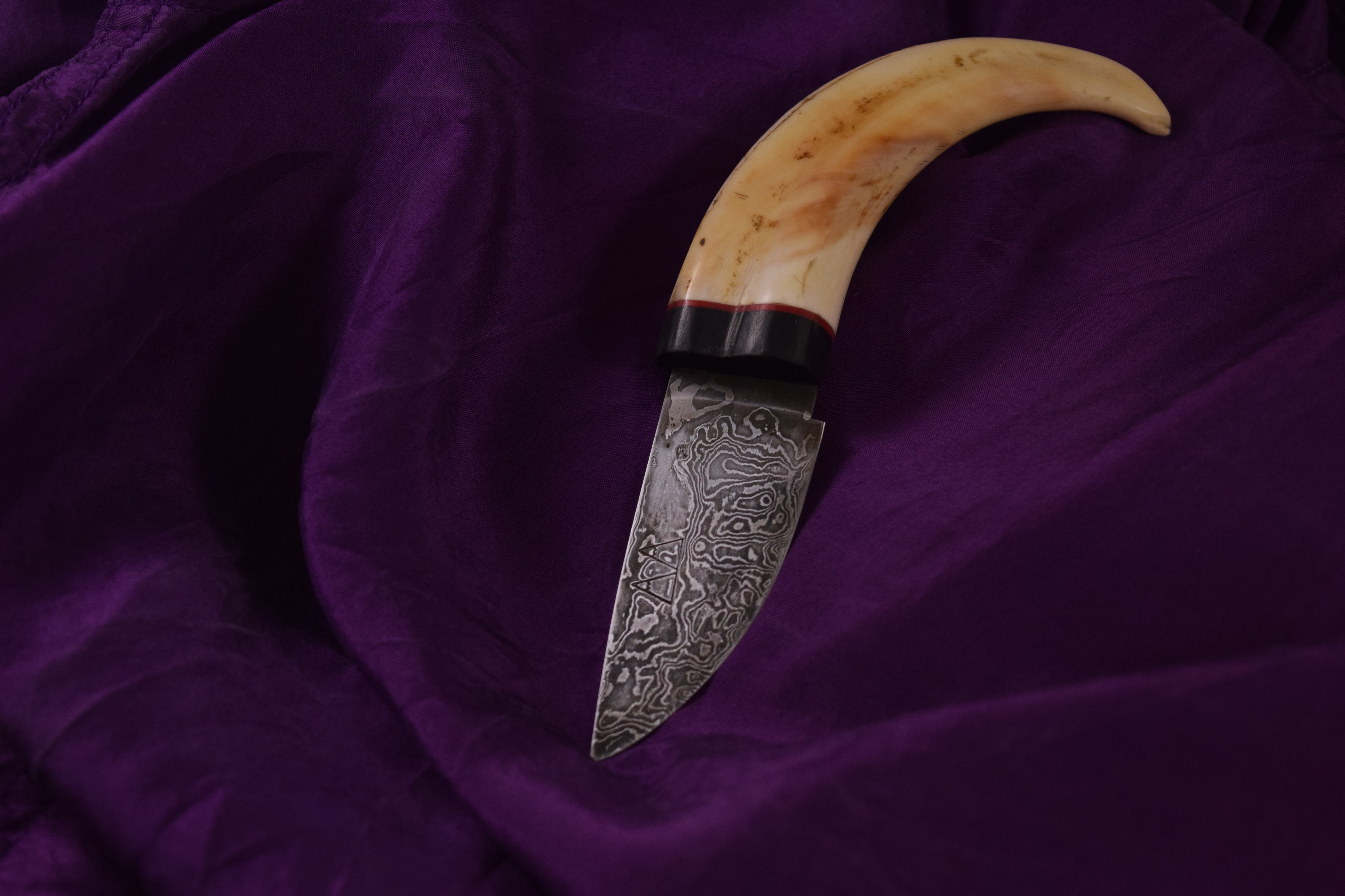 A 192-layer Damascus steel custom skinning knife with a Warthog Tusk handle.
